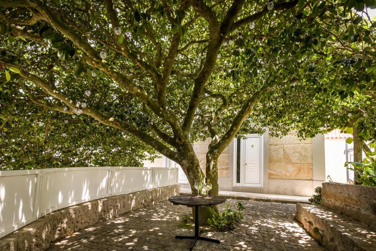 Villa Casa De Ferreira Cinfães Esterno foto